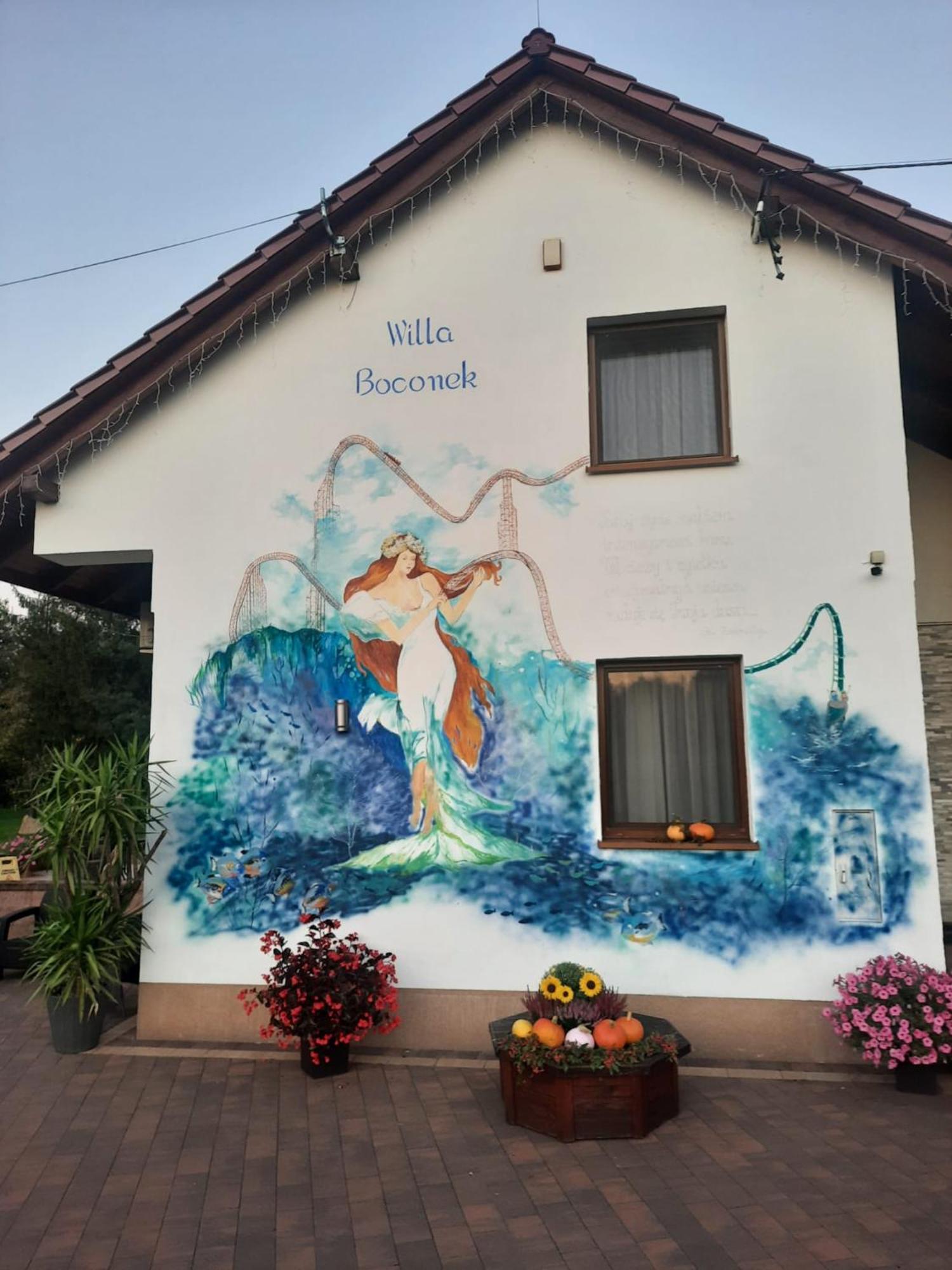 Willa Boconek - Zator Przeciszów Zewnętrze zdjęcie